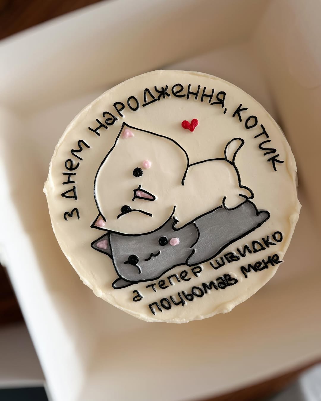 Бенто торт "З Днем Народження котик"