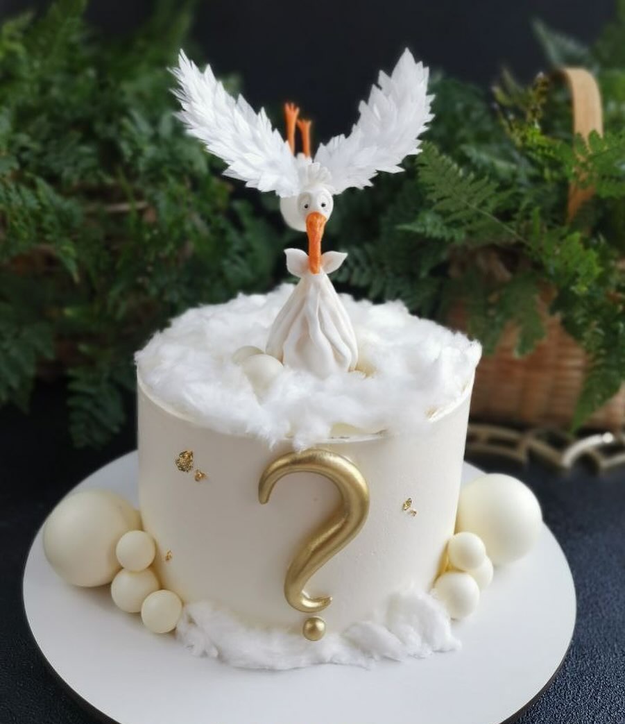 Торт на гендер пати с аистом